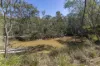 144 Baillies Road, Copmanhurst, NSW 2460-Image