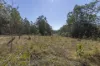 144 Baillies Road, Copmanhurst, NSW 2460-Image