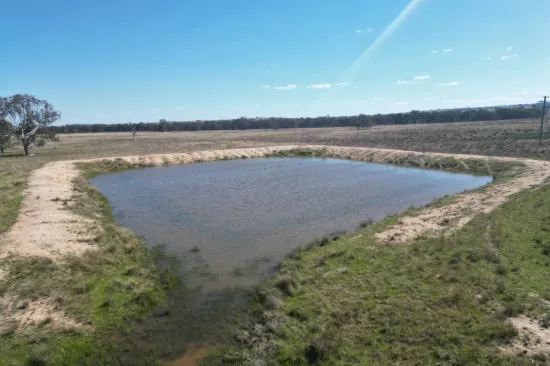 1442 Barneys Reef Road, Gulgong, NSW 2852