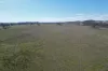 1442 Barneys Reef Road, Gulgong, NSW 2852-Image
