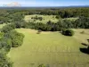 145 Hunters Road, Yarrahapinni, NSW 2441-Image