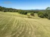 145 Hunters Road, Yarrahapinni, NSW 2441-Image