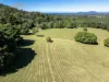 145 Hunters Road, Yarrahapinni, NSW 2441-Image