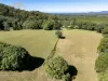 145 Hunters Road, Yarrahapinni, NSW 2441-Image