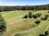 145 Hunters Road, Yarrahapinni, NSW 2441-Image