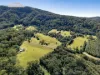 145 Hunters Road, Yarrahapinni, NSW 2441-Image