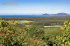 145 Hunters Road, Yarrahapinni, NSW 2441-Image