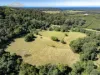 145 Hunters Road, Yarrahapinni, NSW 2441-Image