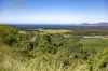 145 Hunters Road, Yarrahapinni, NSW 2441-Image