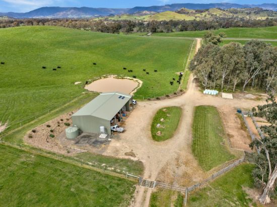 146 Hobans Road, Alexandra VIC 3714-Image