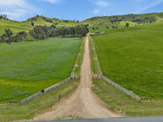 146 Hobans Road, Alexandra VIC 3714-Image