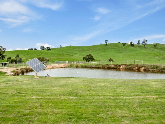 146 Hobans Road, Alexandra VIC 3714-Image
