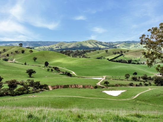 146 Hobans Road, Alexandra VIC 3714-Image