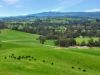 146 Hobans Road, Alexandra VIC 3714-Image