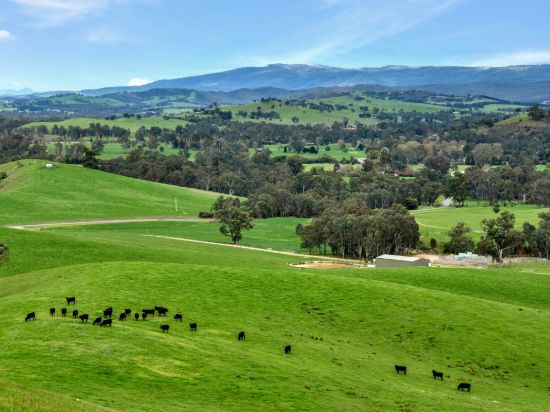146 Hobans Road, Alexandra VIC 3714-Image