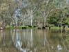 146 Hobans Road, Alexandra VIC 3714-Image