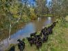 146 Hobans Road, Alexandra VIC 3714-Image