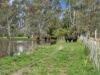 146 Hobans Road, Alexandra VIC 3714-Image