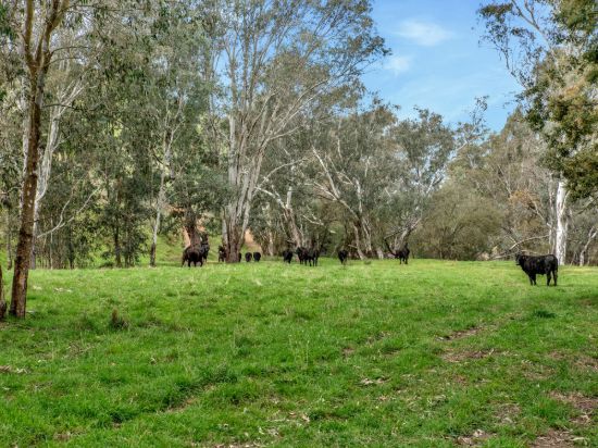 146 Hobans Road, Alexandra VIC 3714-Image