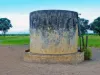 1467, Pasha QLD 4721-Image