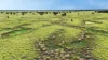 1467, Pasha QLD 4721-Image