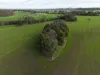 147, Outtrim VIC 3951-Image