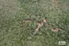 1480 Florina Road, Katherine, NT 0850-Image