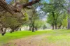 1497 Coxs Creek Road, Rylstone, NSW 2849-Image