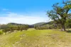 1497 Coxs Creek Road, Rylstone, NSW 2849-Image