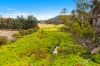1497 Coxs Creek Road, Rylstone, NSW 2849-Image