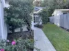 15/47 Sycamore Drive, Currimundi, Qld 4551-Image