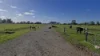 15 Hickey Road, Katandra West, Vic 3634-Image