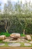 15 Mathews Street, Torquay, Vic 3228-Image