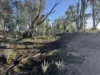1500 Murrabit-Swan Hill Road, Gonn, NSW 2732-Image