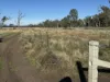 1500 Murrabit-Swan Hill Road, Gonn, NSW 2732-Image