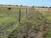 1500 Murrabit-Swan Hill Road, Gonn, NSW 2732-Image