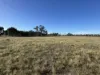 1500 Murrabit-Swan Hill Road, Gonn, NSW 2732-Image