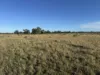 1500 Murrabit-Swan Hill Road, Gonn, NSW 2732-Image