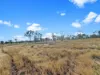 151 Cemetery Road, Nebo, Qld 4742-Image