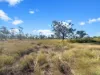 151 Cemetery Road, Nebo, Qld 4742-Image