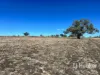 154, Leaders Lane, Inverell, NSW 2360