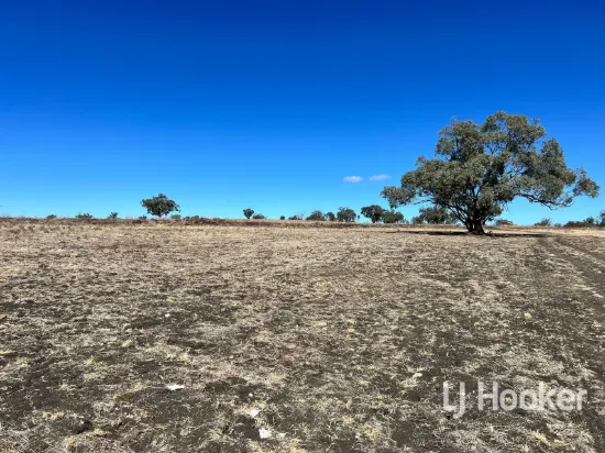 154, Leaders Lane, Inverell, NSW 2360