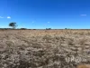 154, Leaders Lane, Inverell, NSW 2360-Image