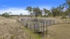 155 Dendles Road, Milman, Qld 4702-Image