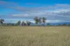 1557 Mount Walker West Road, Rosevale QLD 4340-Image