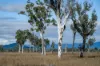 1557 Mount Walker West Road, Rosevale QLD 4340-Image