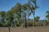 1557 Mount Walker West Road, Rosevale QLD 4340-Image