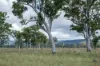 1557 Mount Walker West Road, Rosevale QLD 4340-Image