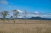 1557 Mount Walker West Road, Rosevale QLD 4340-Image