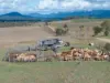 1557 Mount Walker West Road, Rosevale QLD 4340-Image